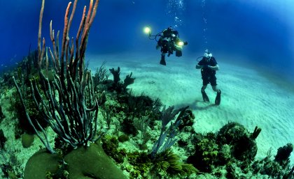 Coral reefs are among the most threatened ecosystems on Earth Coral reefs are among the most threatened ecosystems on Earth